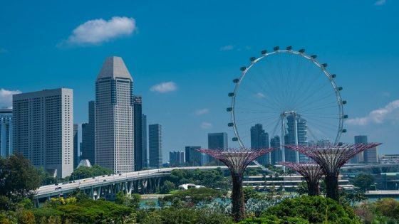 Expand business to Singapore